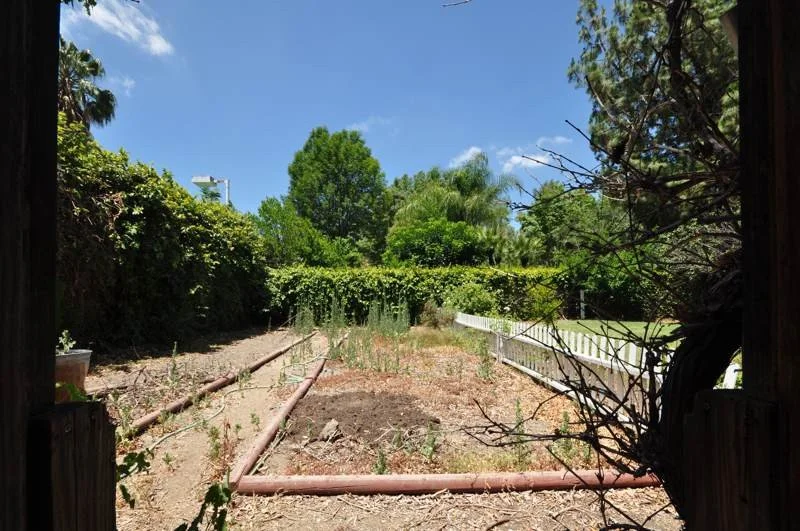 076_2618_garden3.jpg