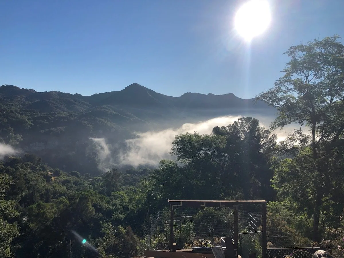 PL-1505-topanga-treetop-guesthouse-027.jpg