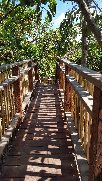 081_9466_bridge.jpg