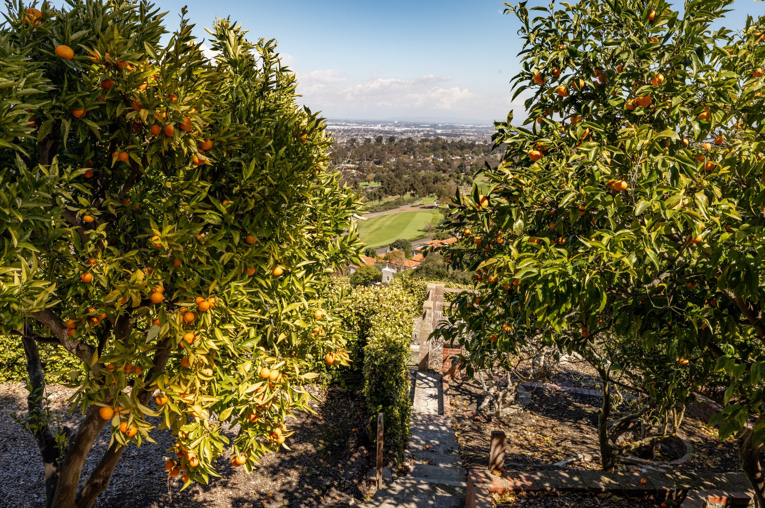 La_Dolce_Villa_036.jpg