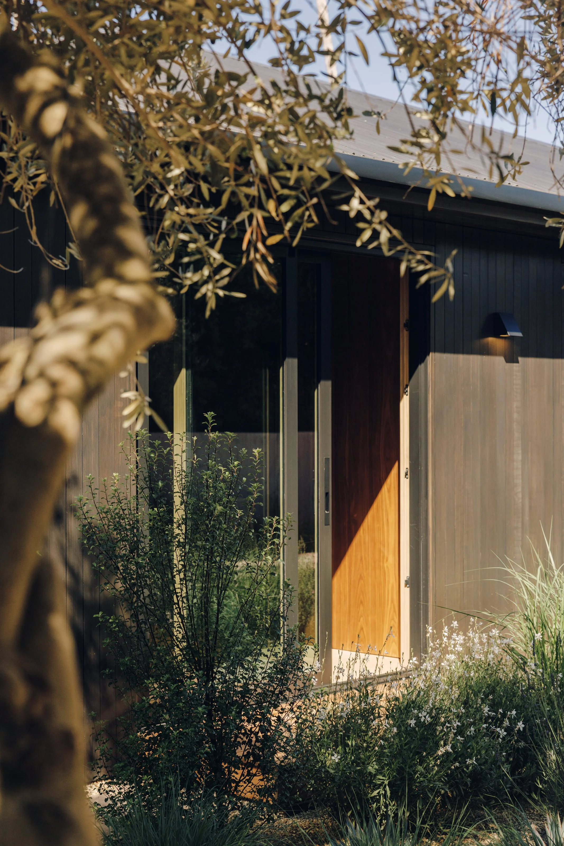 Side entrance surrounded by planting