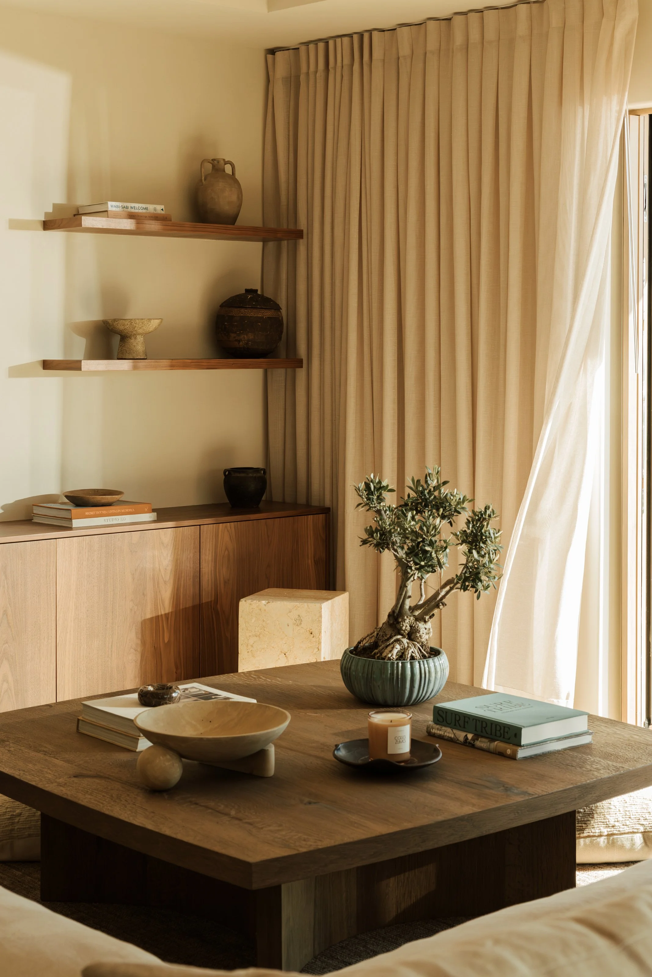Living area and built-in shelves