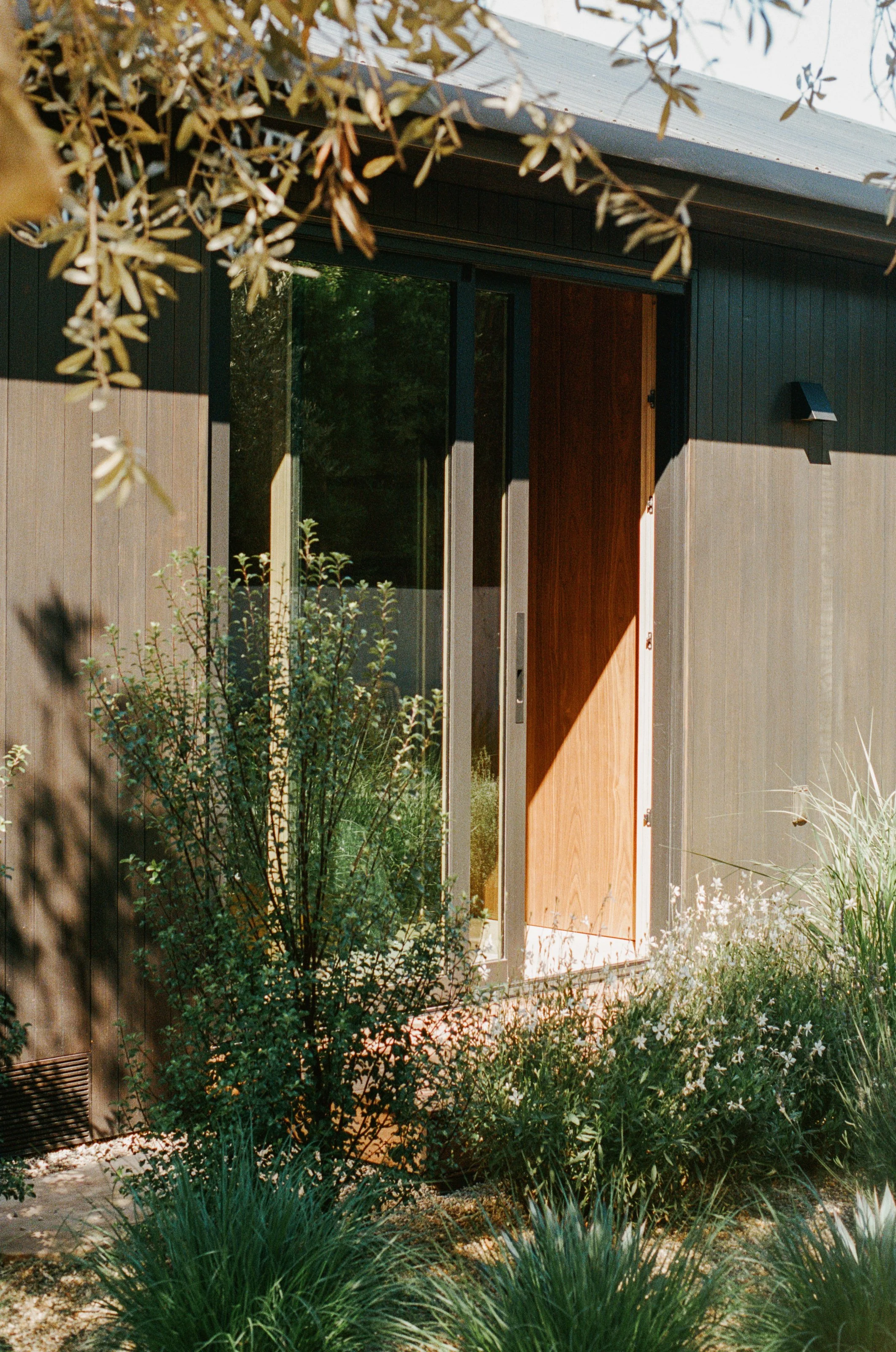Garden entrance framed by olive branches
