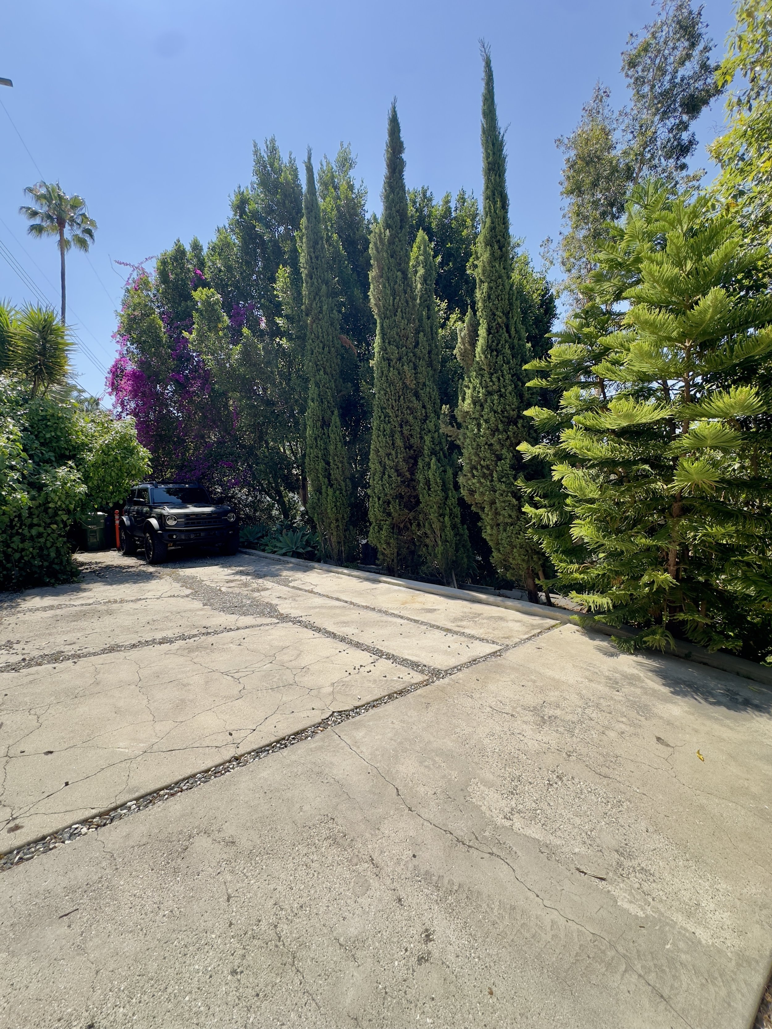 PAD90210_002.jpg