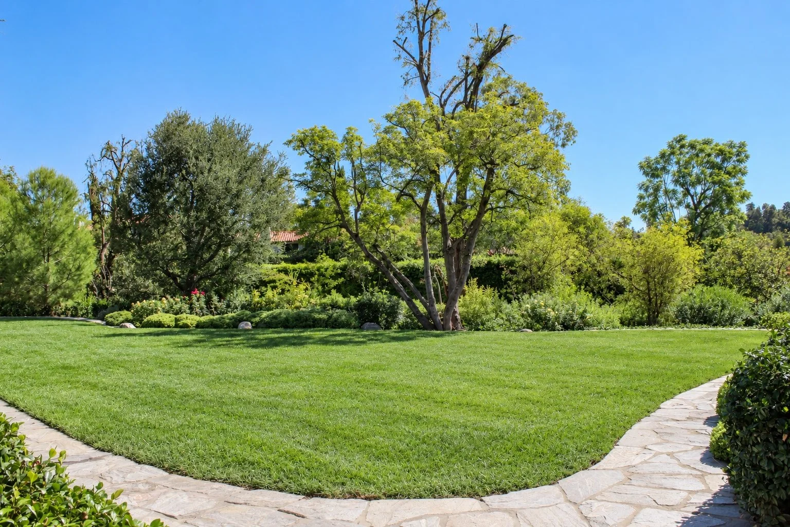 49_PL-4107_garden-lawn.jpg