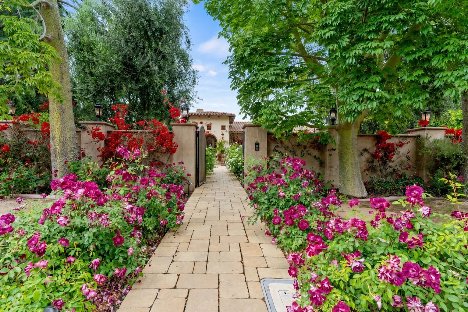 PL3608_25_Rose_Garden_Path.jpg