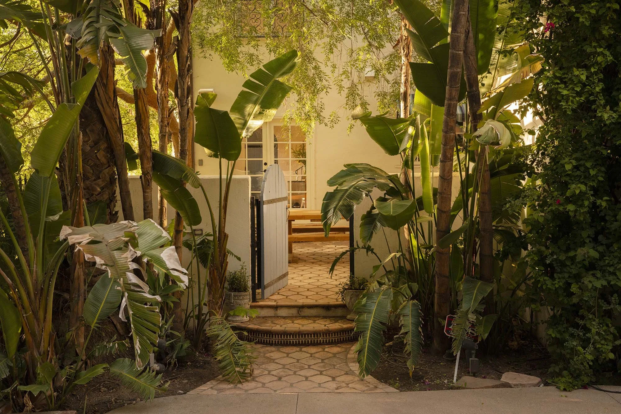 PL6014-008-garden-path-tropical-plants-brick-steps-wide.jpg
