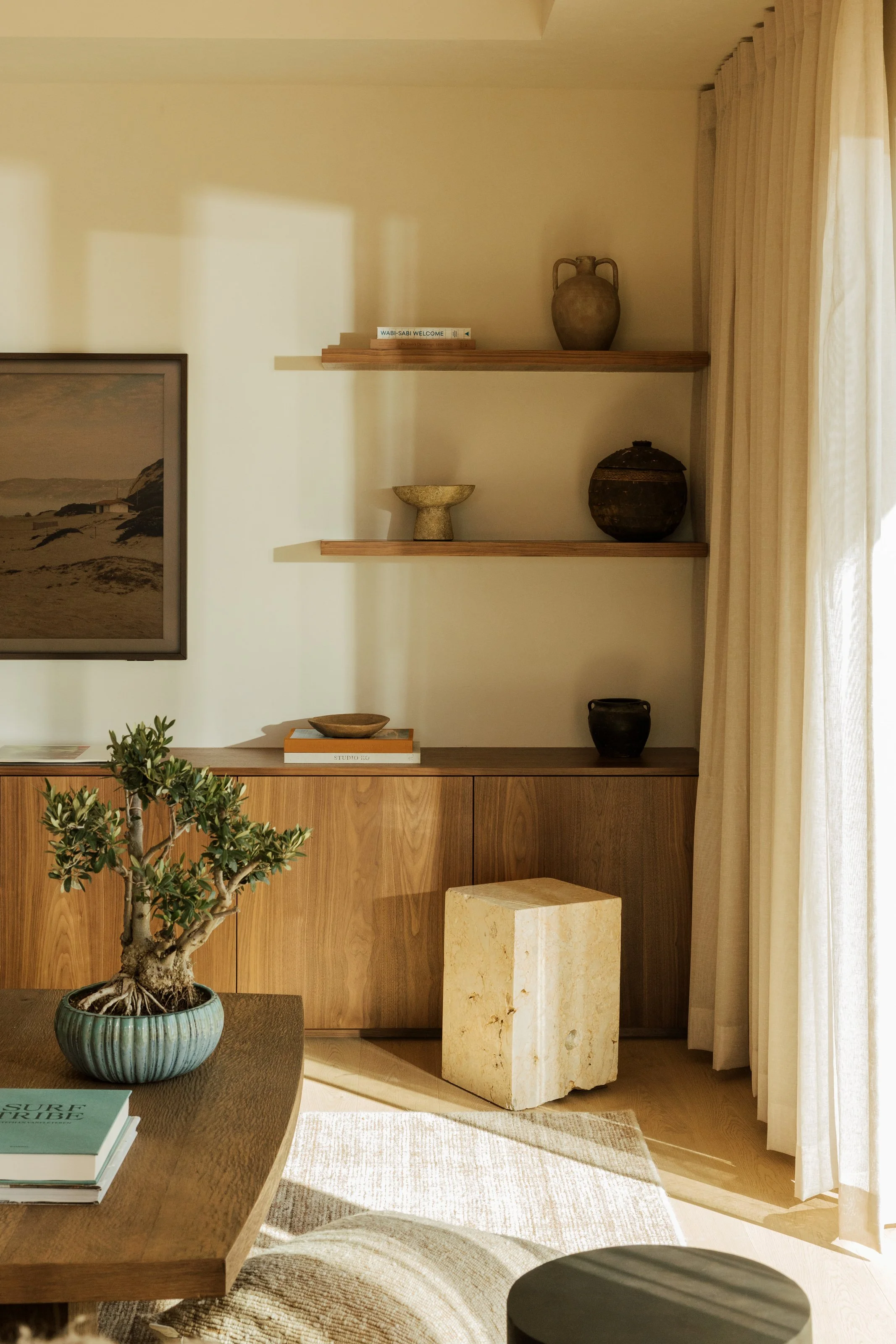 Living room built-in shelving and wood cabinetry