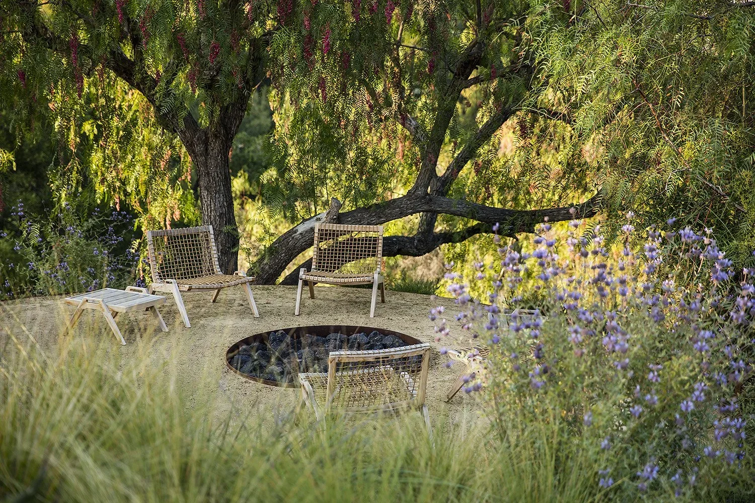 Chris-Sosa-Landscape-Architecture-Clear-Oak-Residence-10.jpg.webp