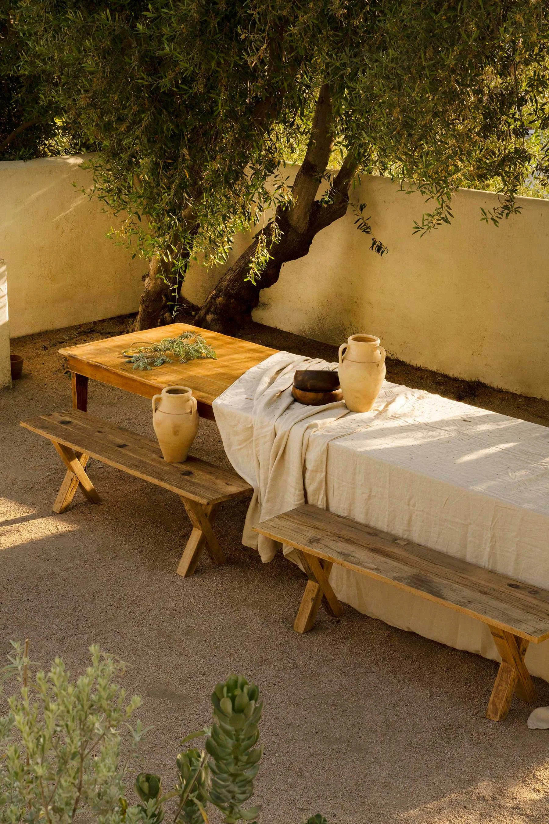 PL6014-037-courtyard-dining-table-wooden-benches-olive-tree-overhead.jpg