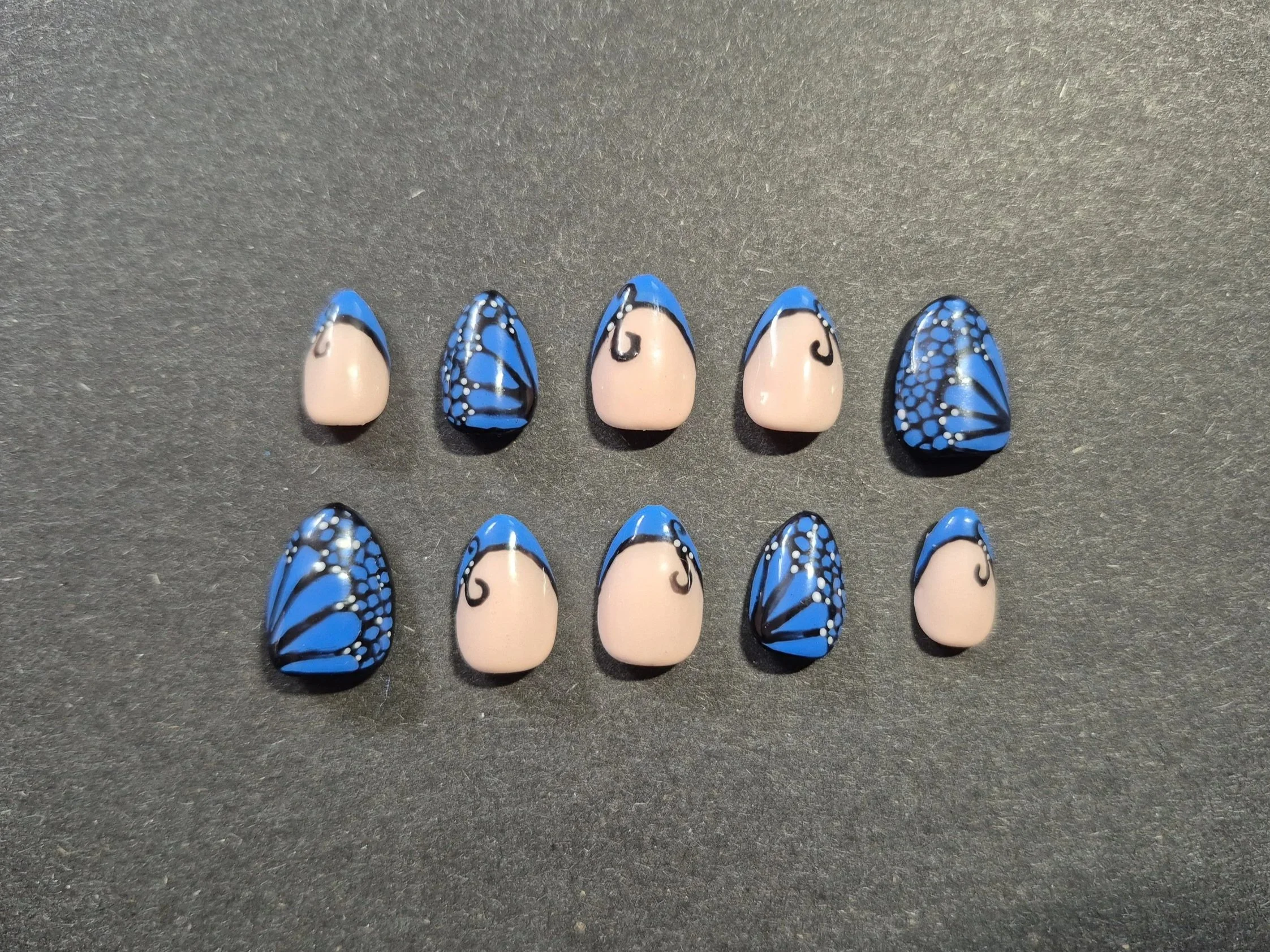 ShortBlueButterfly.jpg