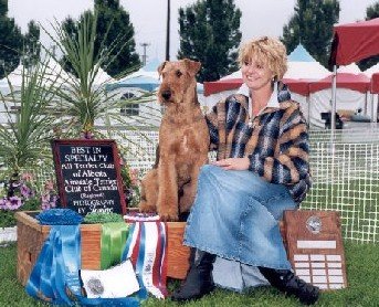 In August 2002 Harry was honoured to win both the Alberta All Terrier Specialty and the Airedale Terrier Club of Canada National Floating Specialty.