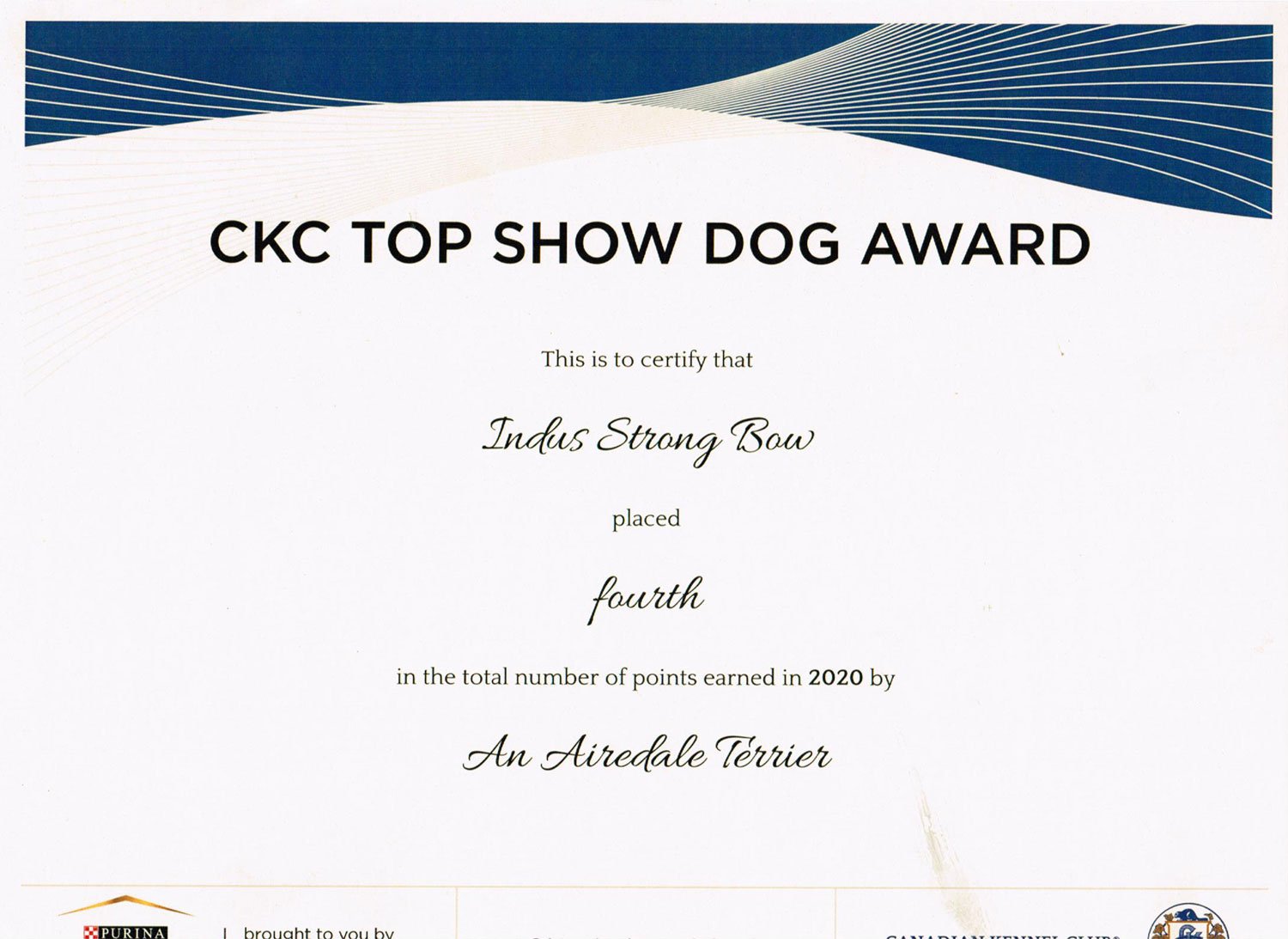 Strong-Bow-Certificate.jpg