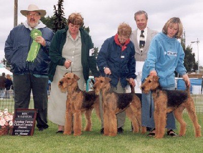 Can. USA, & Int. Ch. Terydale HK King of Indus with two get Ch. Bulairo Shaboom and Indus Moonstruck winning the Sire and Get Class at the Canadian Airedale Terrier Specialty 2002.  What a credit to a wonderful stud dog. 