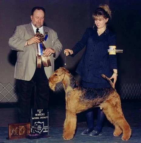Can. USA, Int. Ch. Terydale HK King of Indus (Drew the King).