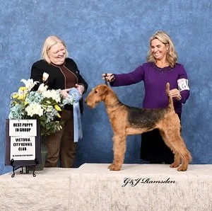 Two women at a dog show with an Airedale Terrier, one woman holding the dog and the other woman holding a flower bouquet, against a blue background.