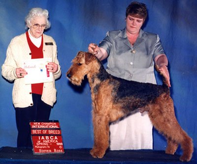He received his International Conformation Championship in the spring of 1999.
