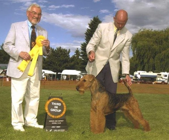 Here's Harry winning Best in Group 2 at the Vernon, British Columbia Dog Show.