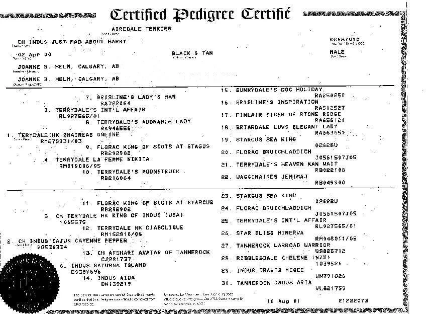 Harry's Pedigree