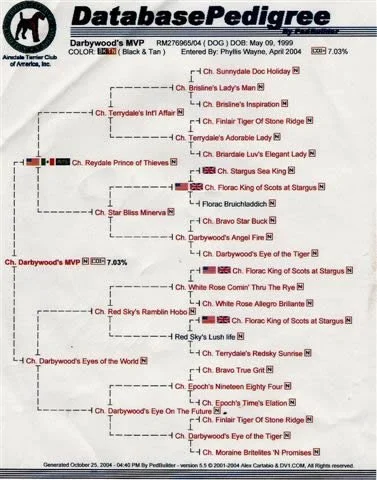 Brett's Pedigree