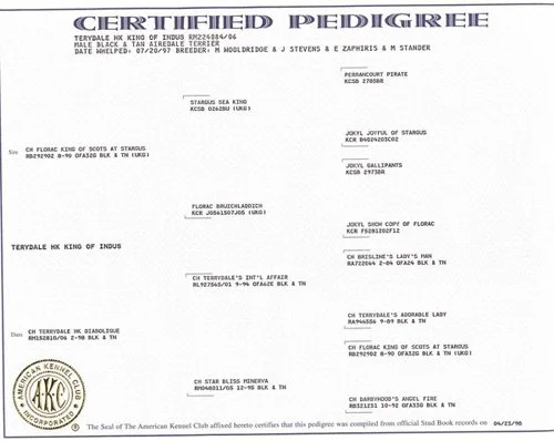 Drew's pedigree