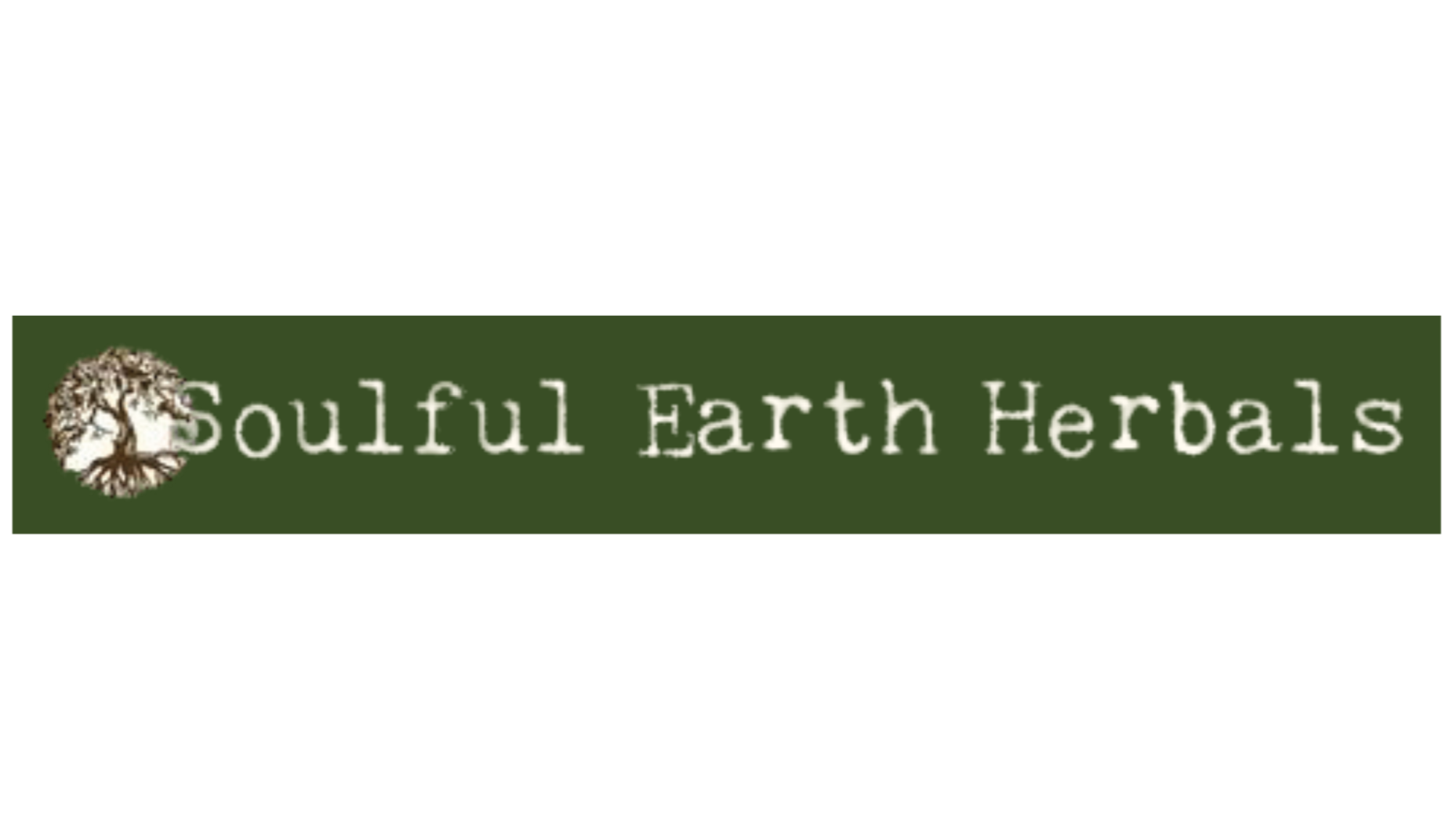 Website Designer Lansing Michigan