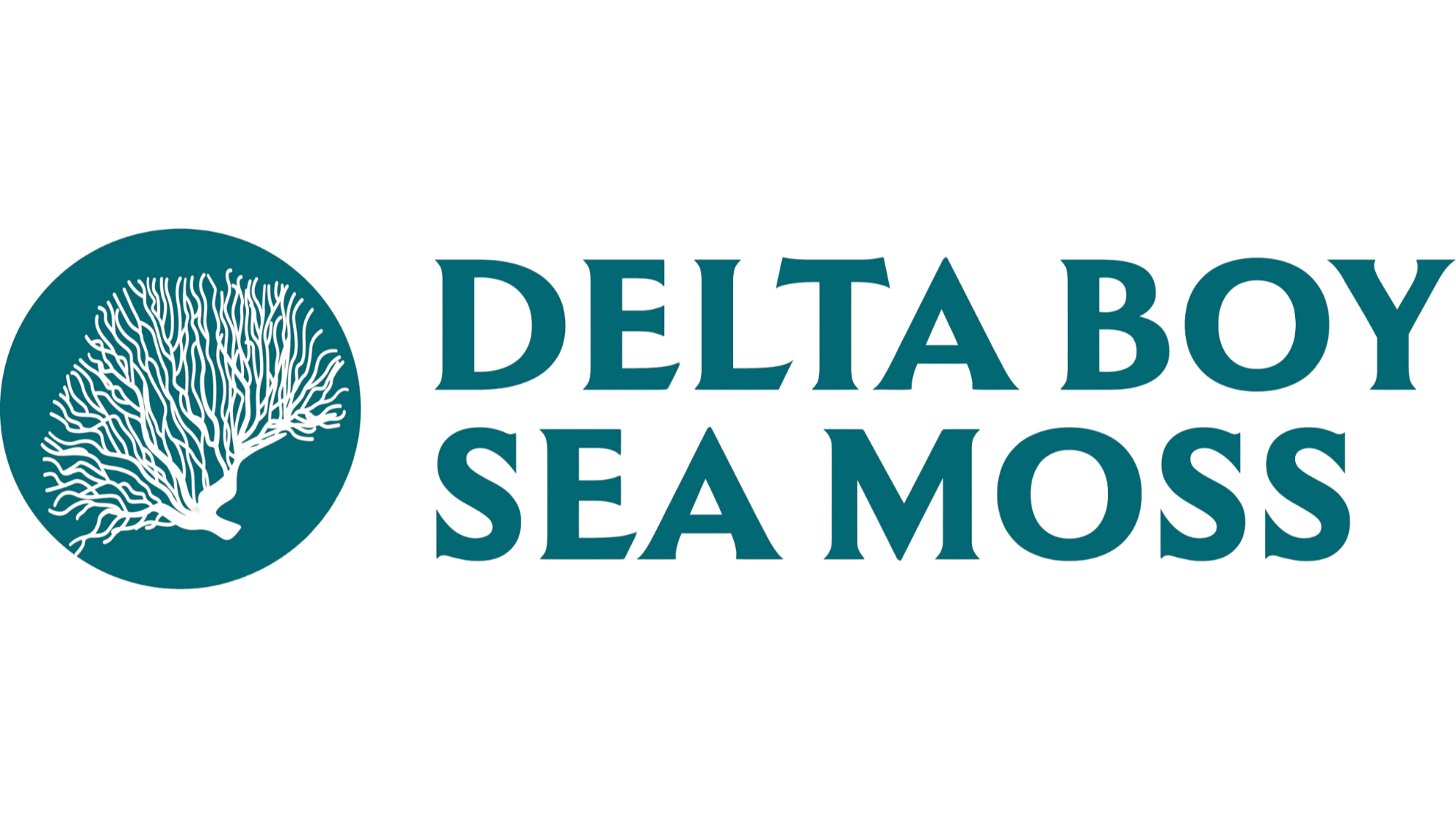 Website Designer Lansing Michigan