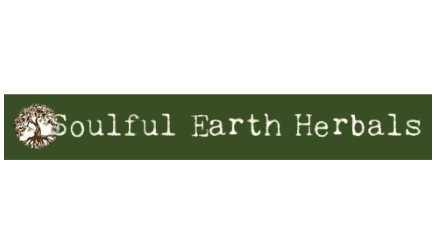 Website Designer Lansing Michigan