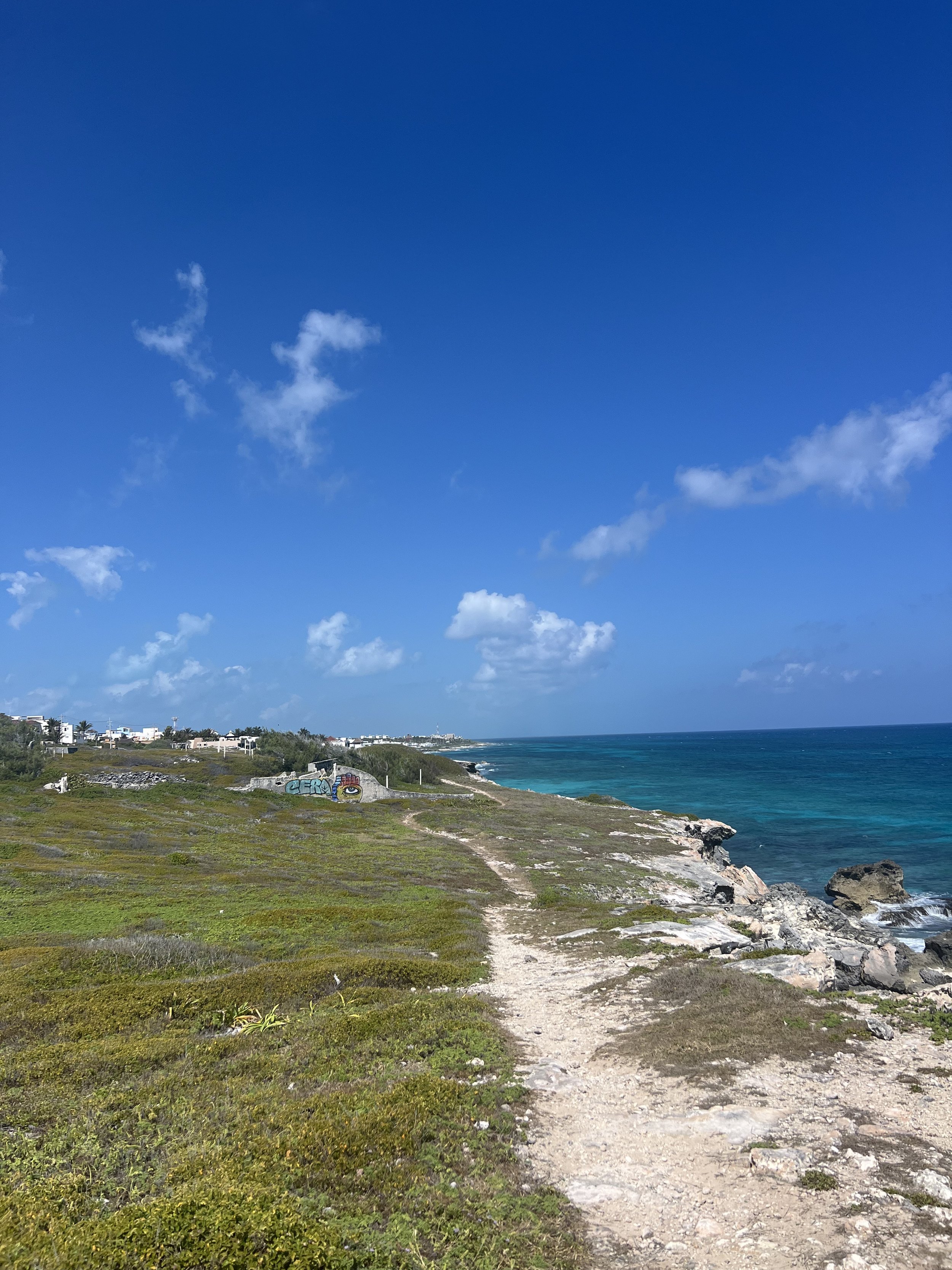 A dirt path runs along a coastline with green shrubbery on one side and rocky shore on the other, under a blue sky with a few scattered clouds.
