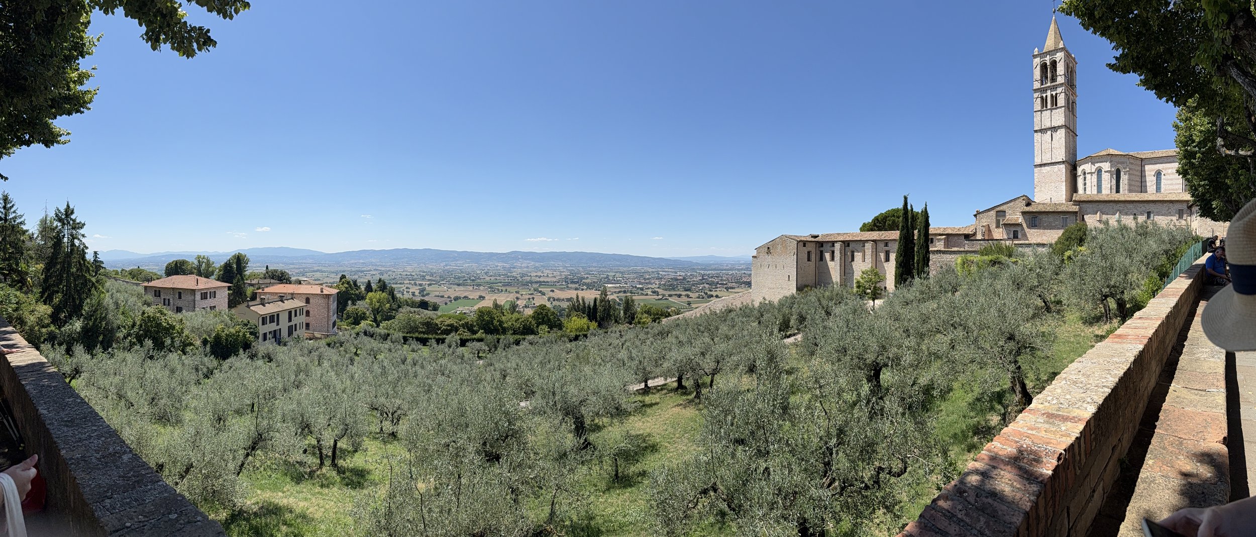 A panoramic view of a rural landscape featuring a hilltop church with a tall bell tower, surrounded by olive trees, residential buildings, and distant hills under a clear blue sky.