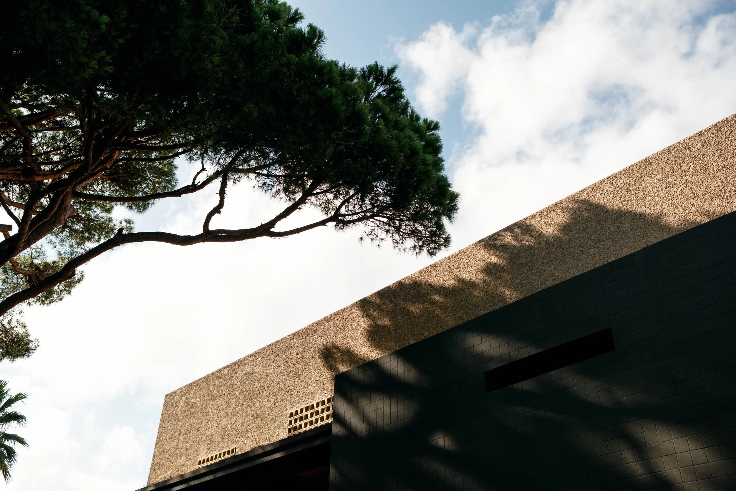 Ein Baum mit grünen Nadeln neben einem modernen Gebäude mit schwarzen und beigefarbigen Wänden, Schatten auf der Wand und einem blauen Himmel mit Wolken im Hintergrund.