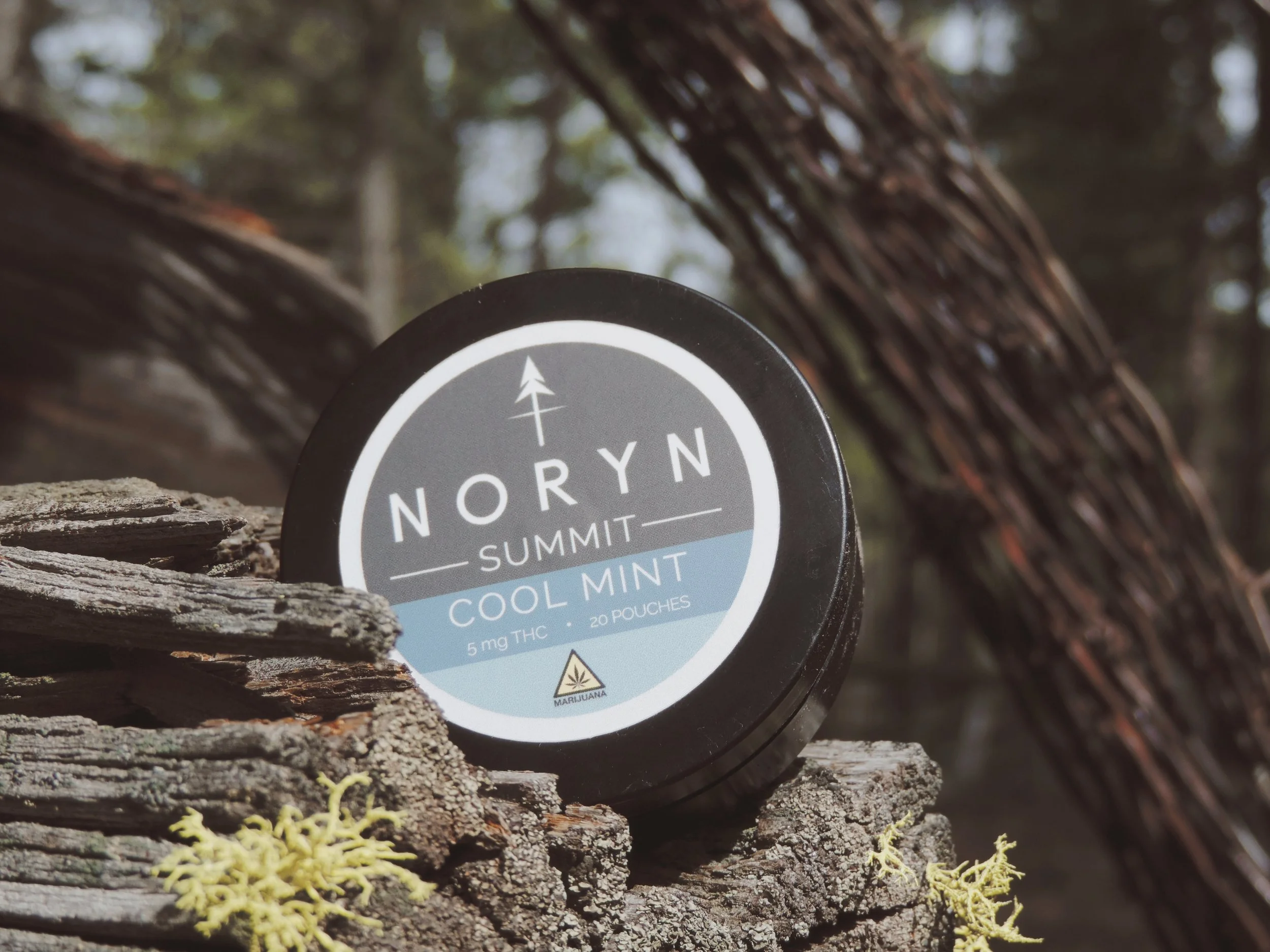 A round container of NORYN Summit Cool Mint cannabis product with 5mg THC, 20 pouches, sitting on a tree branch in a forest.