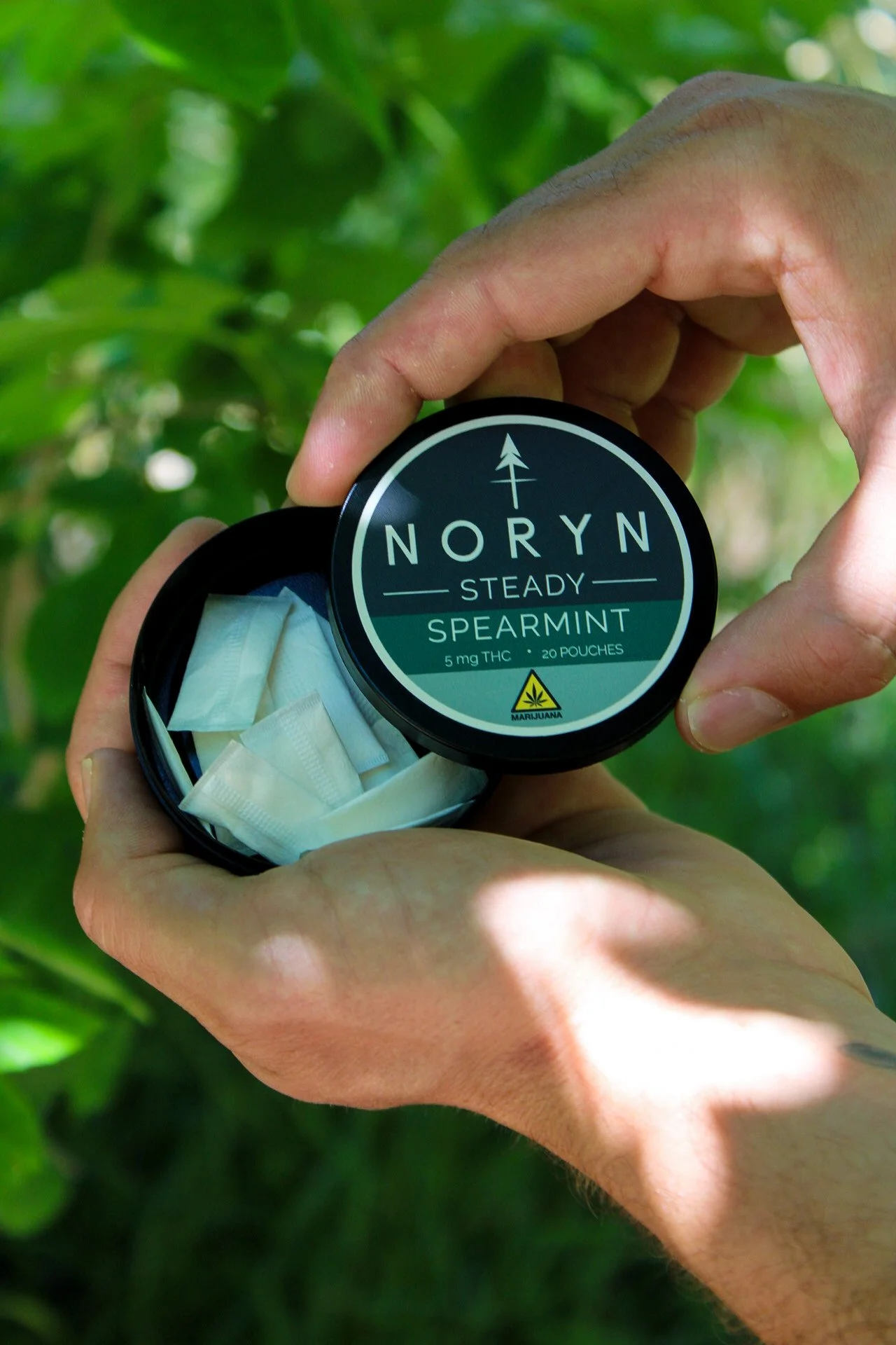 A person holding a round container labeled NORYN with spearmint flavor, indicating it's a cannabis product with 5 mg THC, containing 20 pouches, set against a background of green leaves.