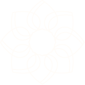 Outline of a stylized flower with multiple petals arranged in a circular pattern