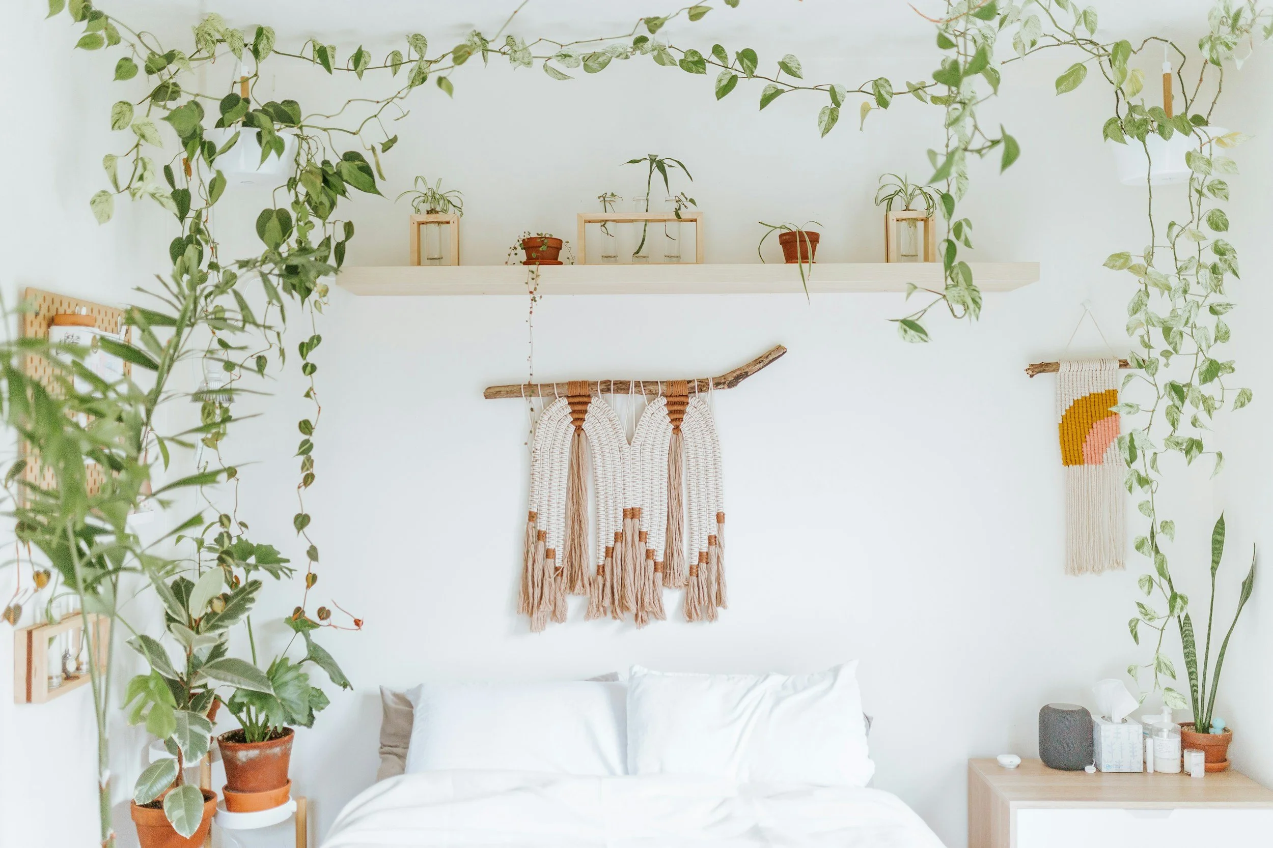 bedroom with macrame wall art hanging plants