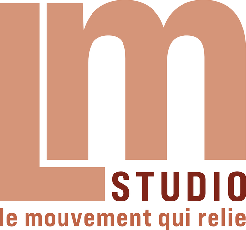 LM Studio