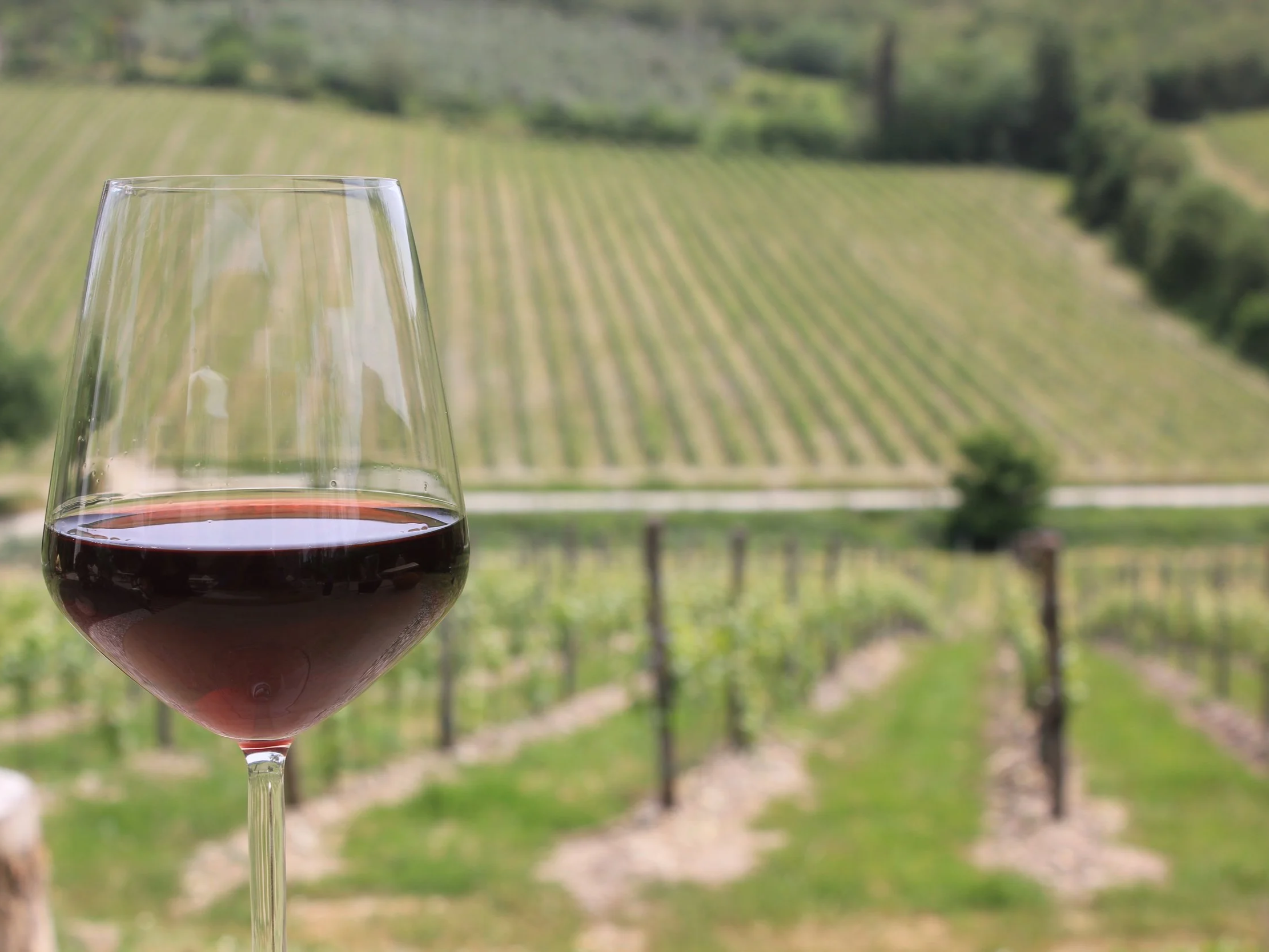 A glass of red wine with a vineyard in the background.