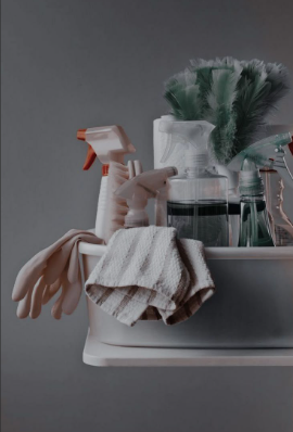 Cleaning supplies on a white surface, including spray bottle, gloves, a cleaning cloth, and a potted plant with green foliage.