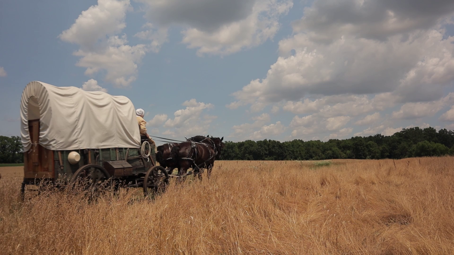 A covered wagon being pulled by two horses through a field of tall grass on a sunny day with scattered clouds.