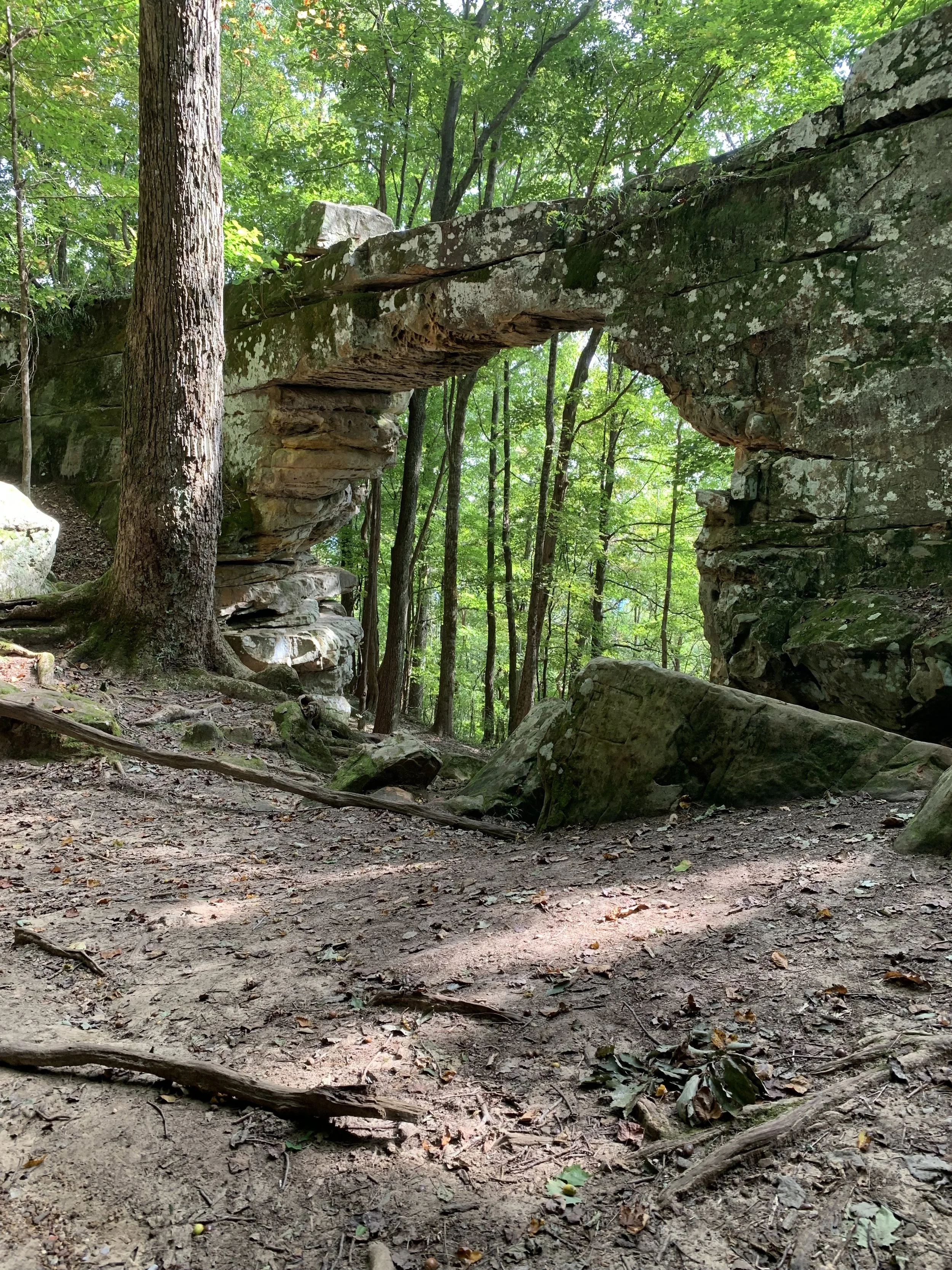 Sewanee's natural bridge.