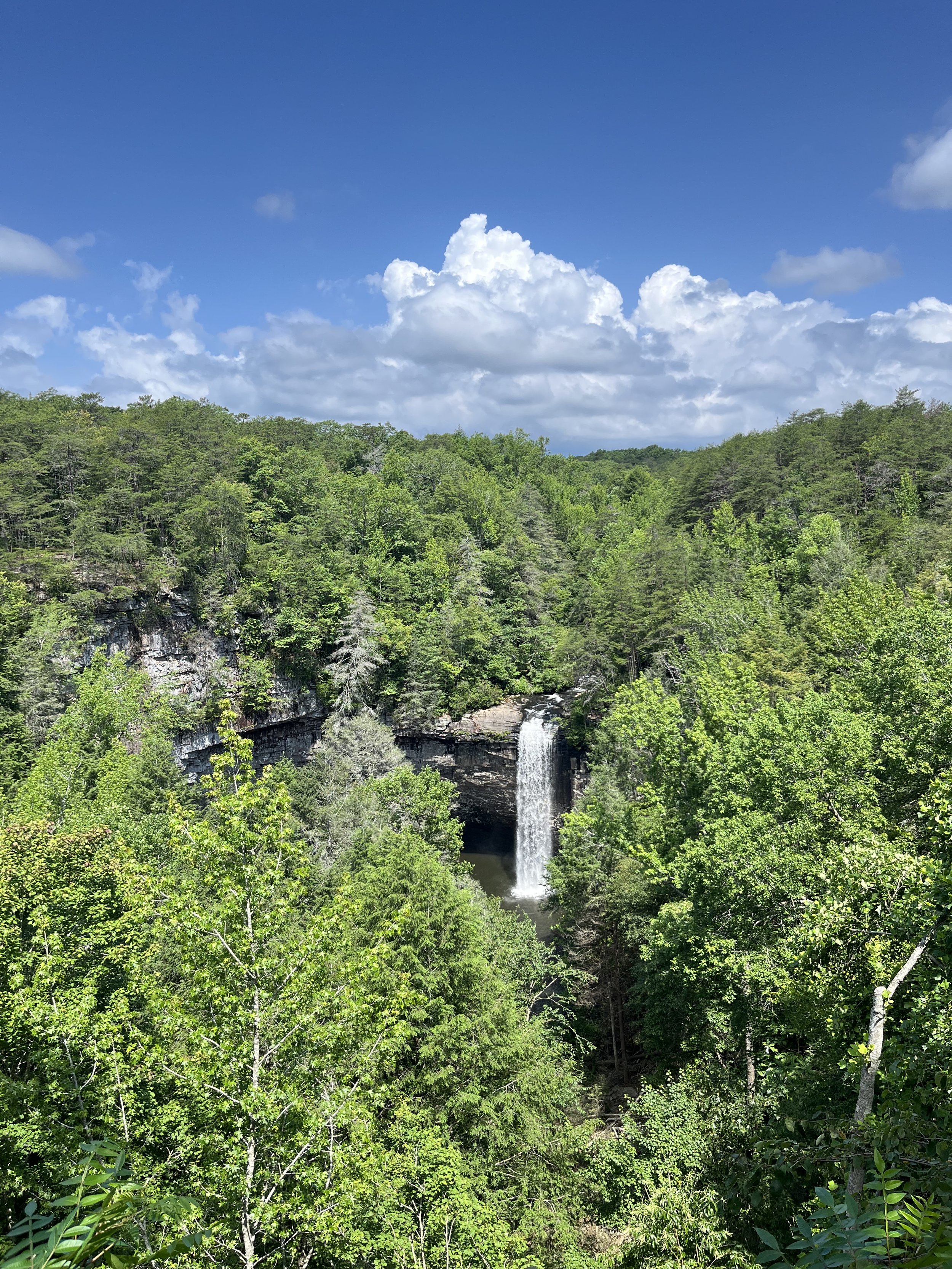 A scenic view of a Foster Falls surrounded by dense green forest under a bright blue sky with scattered white clouds.