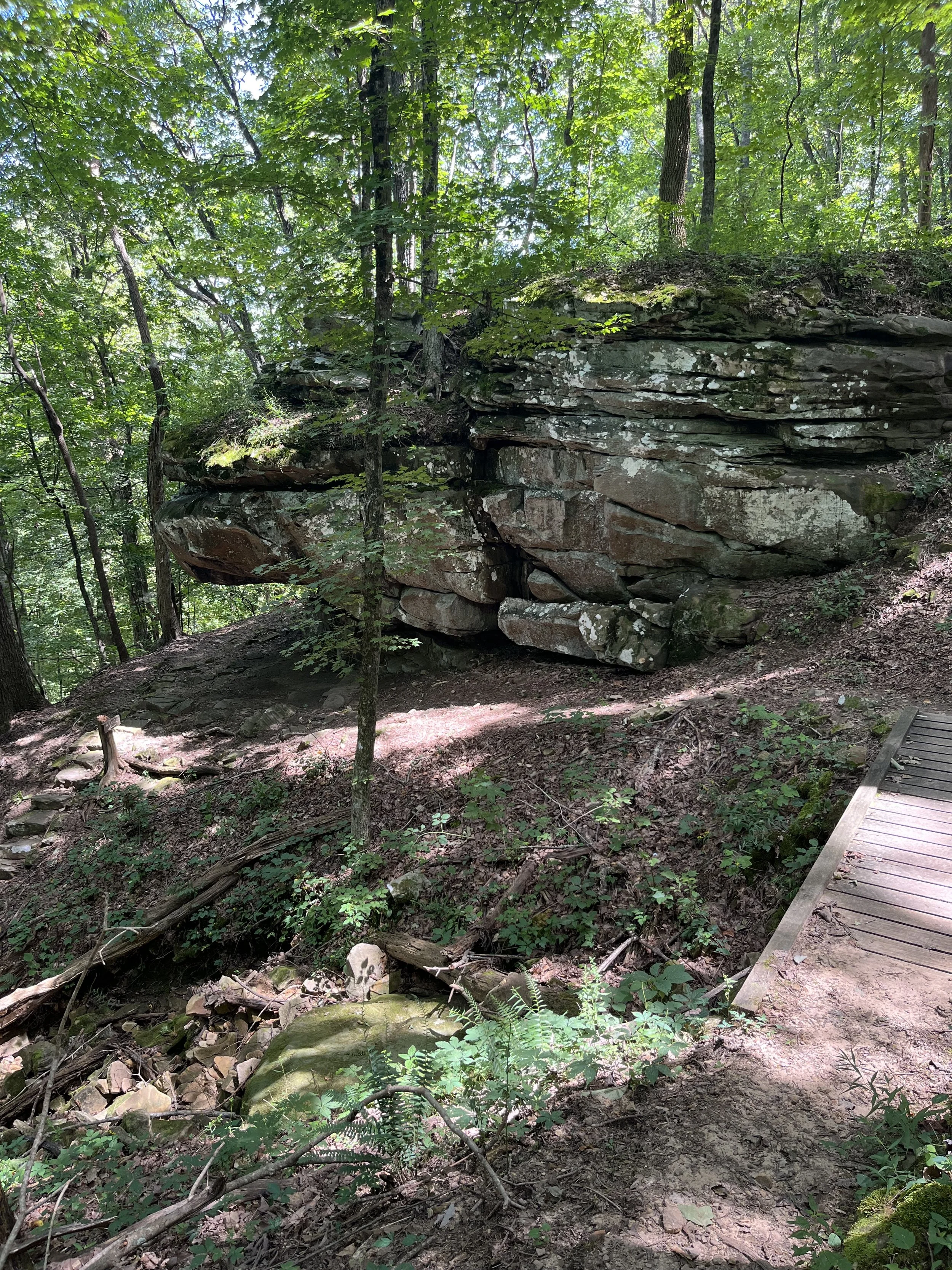 A wooded forest area in Shakerag Hollow with a large layered rock formation, and a wooden platform or walkway on the right side.