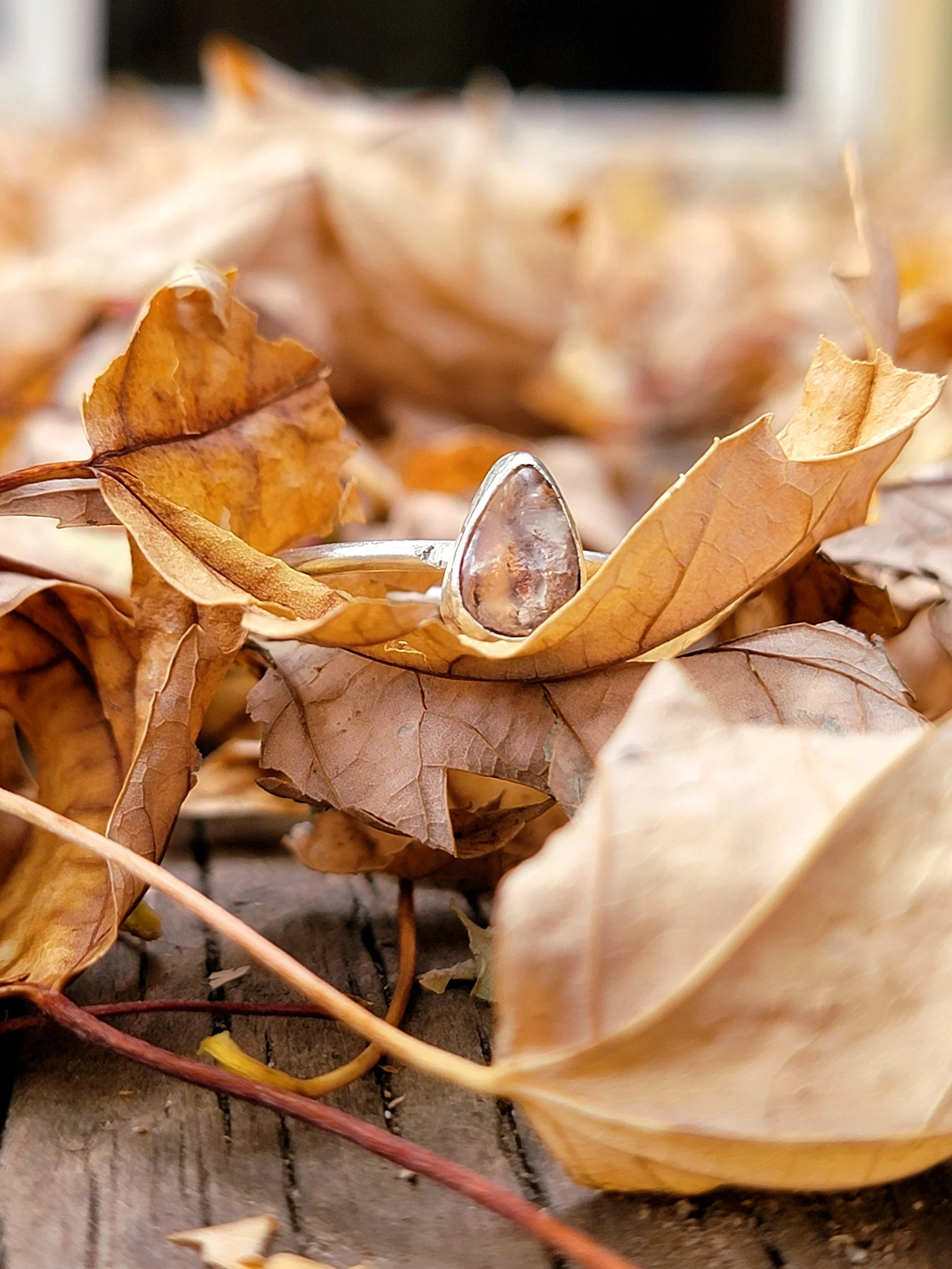 A silver ring with a transparent gemstone placed among dry, fallen autumn leaves on a wooden surface.