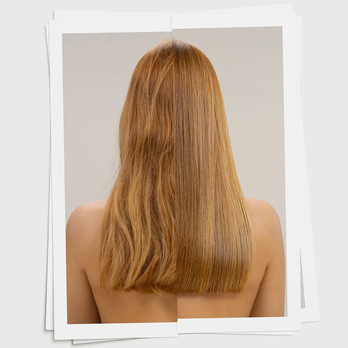 Davines-HOG-72026-Shampoo-72027-Conditioner-ba_2000x.webp