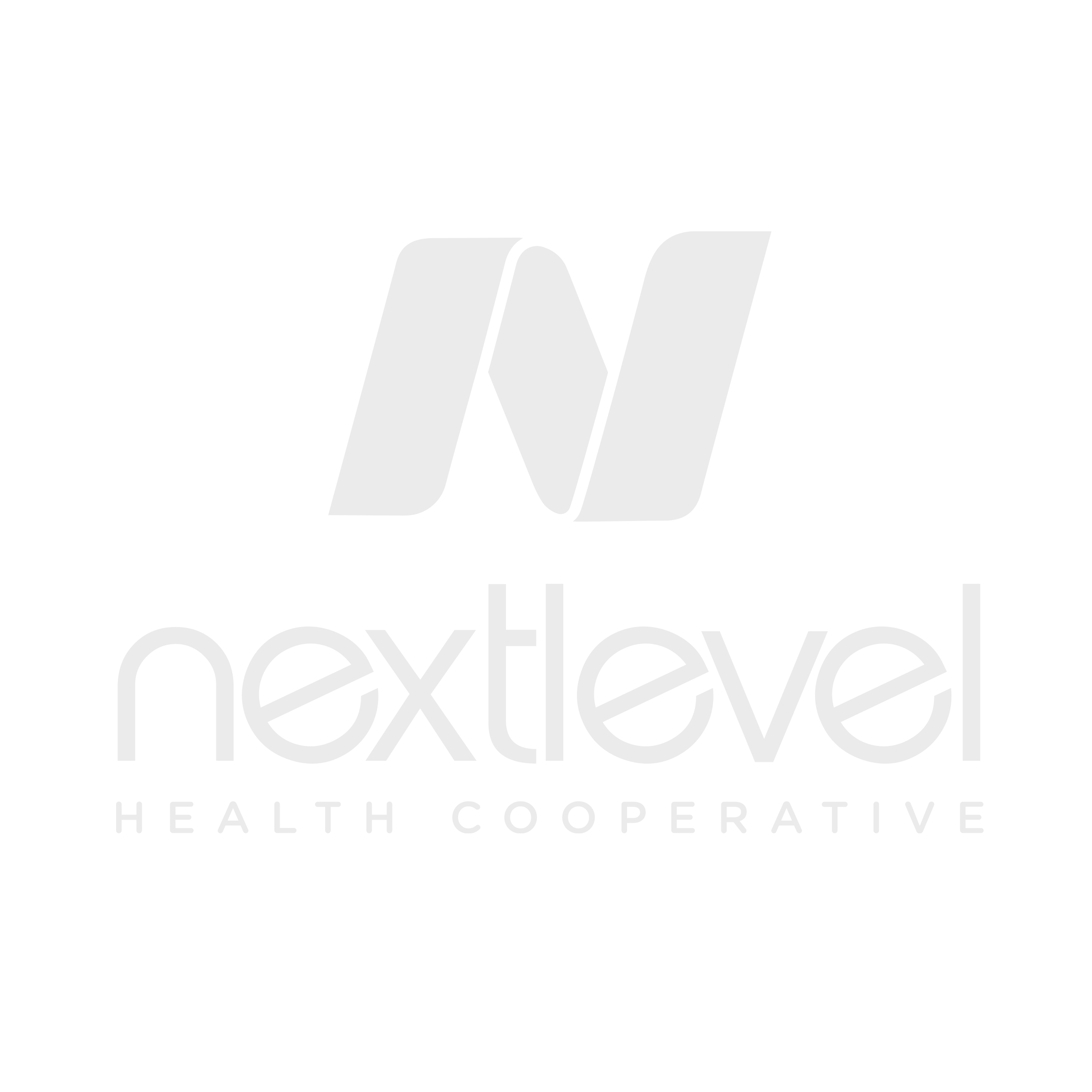 NextLevel.png