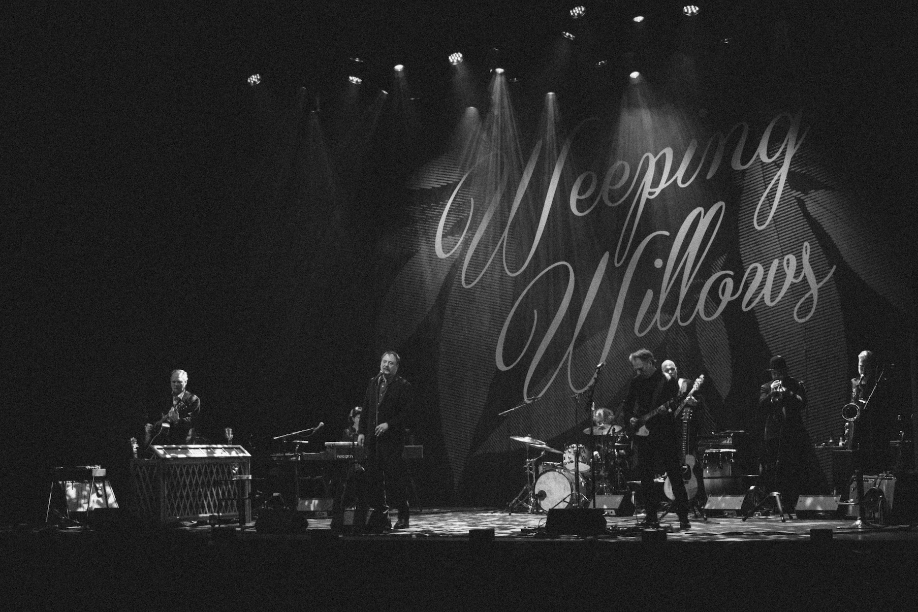 Weeping Willows at Göta Lejon
