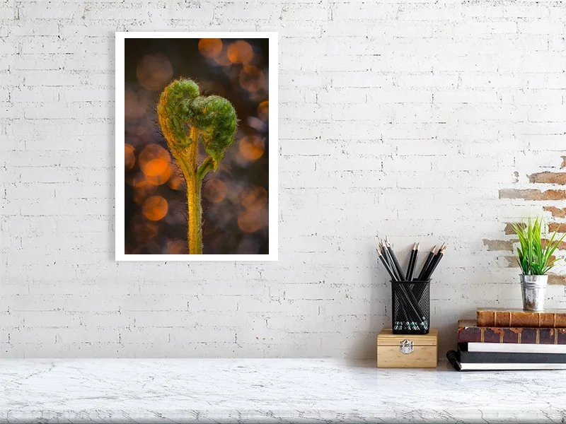 The Verdant Heart