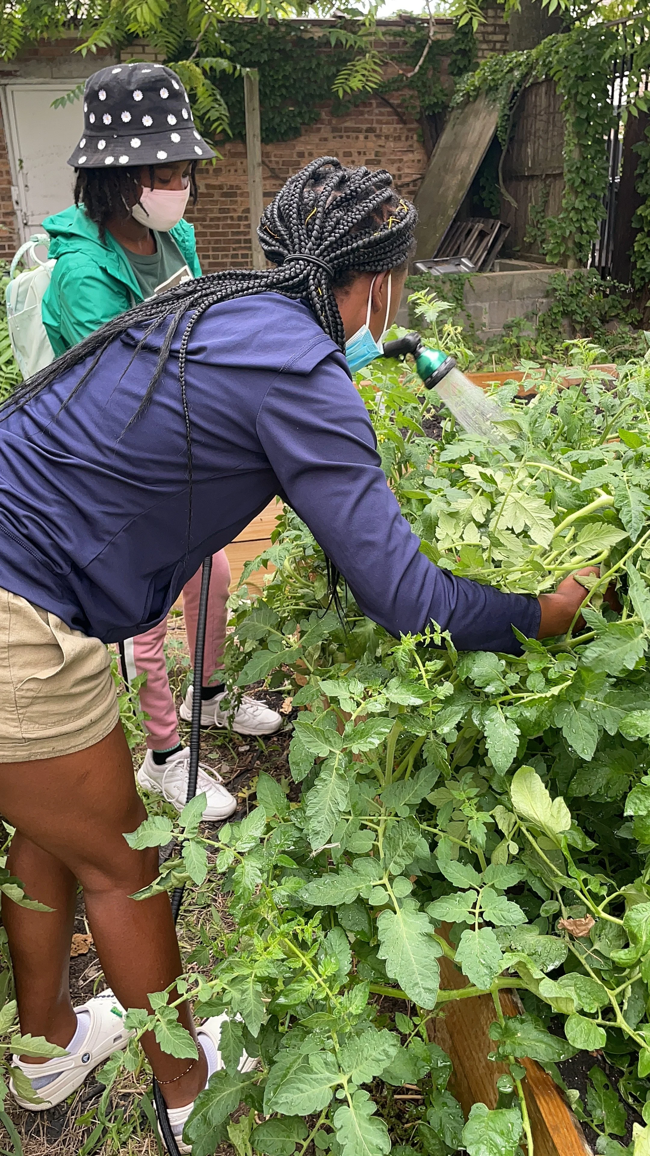 Two young girls taking care of a garden.