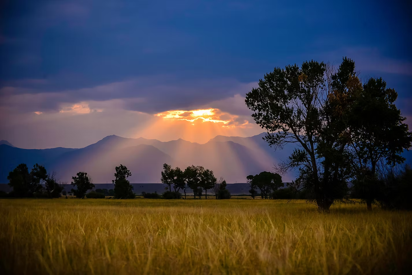 The Long Fight: Reversing the Budget Bill