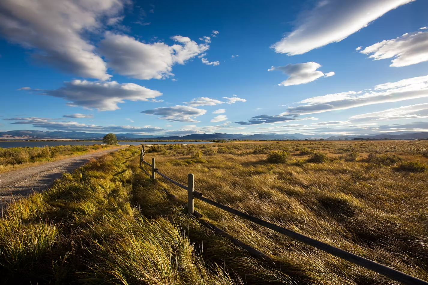 Montana Deserves Better than Silence on Federal Cuts